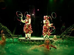 Макеевчане смогут увидеть представления "Цирка на воде"