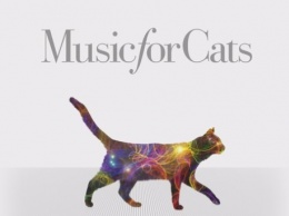 Американский музыкант записал первый в мире альбом для котов