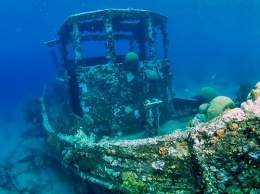 В Черном море нашли несколько десятков затонувших коралей