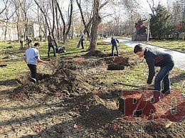 В Бердянске все желающие смогут бесплатно получить саженцы деревьев