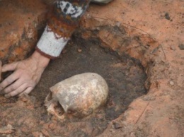В Петродворцовом районе Петербурга нашли череп времен ВОВ