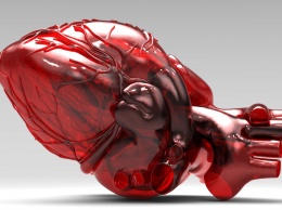 Ученые создали сердце со встроенными датчиками