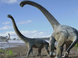 Ученые обнаружили гигантского динозавра - самого большого существа на Земле