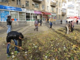 В городе появится ирисовая клумба в национальных цветах (видео)