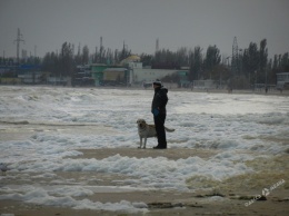 В Одессе после шторма вспенилось море (фото)