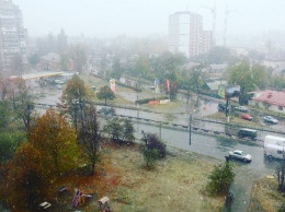 В Житомире выпал первый снег: Фото из соцсетей