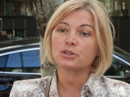 Ирина Геращенко требует наказать разработчиков сайта е-деклараций