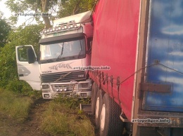 ДТП на Николаевщине: грузовик Volvo вылетел с дороги и застрял между деревьями. ФОТО