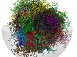 Ученые из института SISSA создали 3-D модель генома человека