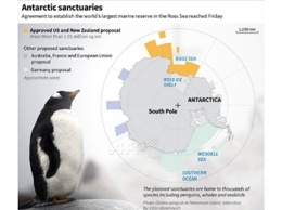 В Антарктиде создадут крупнейший заповедник