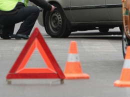 Олень в центре Томска попал под колеса Volkswagen