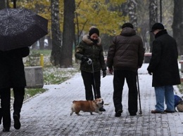 В Москве на выходных ожидается метель