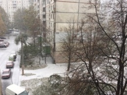 В Харькове выпал первый снег (ФОТО)