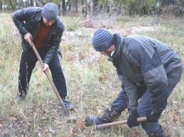 Павлоградские активисты посадили у себя в микрорайоне три десятка молодых деревьев