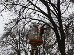 Полтаву украшают новогодней иллюминацией (фото)