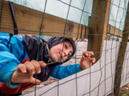 Полторы тысячи брошенных мигрантами детей из стихийного лагеря «Джунгли» власти Франции начали расселять в центры приема беженцев