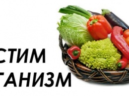 Продукты, которые очищают организм от токсинов. Все звезды их едят!