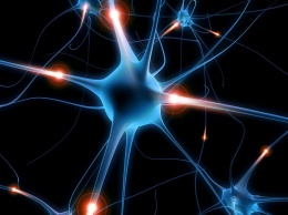 Ученые создали искусственный нерв для устранения болей