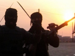 Глава МВД ФРГ планирует лишать джихадистов гражданства