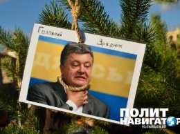 Порошенко будут бить не по паспорту, а по лицу