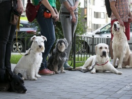 Одесских собаководов ждет проверка на уровень культуры