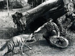«Мой любимый Каин». Директор Николаевского зоопарка показал старые снимки с животными, которых уже нет