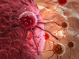 Специалисты объяснили устойчивость раковых клеток к химиотерапии