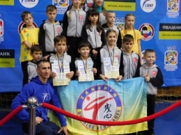 Бердянские каратисты результативно выступили на Всеукраинском турнире