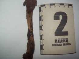 Сотрудники прокуратуры Сумщины обнаружили очередную находку: в лесу нашли человеческие кости (ФОТО)