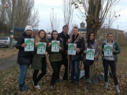 В Бердянске поддержали акцию «Дерево Мира»