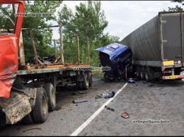 На Закарпатье в столкновении двух грузовиков и Mercedes Vito погиб человек. ФОТО