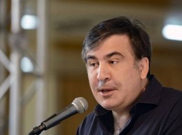 Саакашвили заменит таможенников на молодежь
