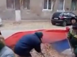 В Волгограде возбудили уголовное дело из-за уборки листьев флагом России