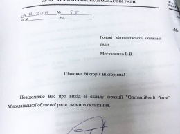 Паламарюк вышел из фракции «Оппозиционного блока» в Николаевском облсовете