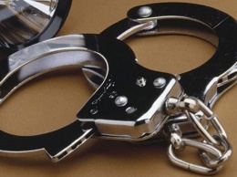 Группу лиц арестовали по подозрению в похищении человека в Житомирской области