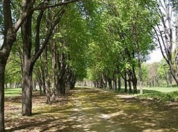 Победа» - не сегодня. Границы для создания парка в Кропивницком еще не определены