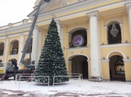 Первая новогодняя елка появилась в Санкт-Петербурге