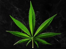 Ученые рассказали о новой опасности марихуаны