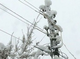 Непогода обесточила 53 населенных пункта в Сумской области