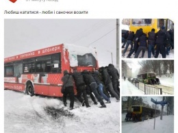 Во Львове сегодня на маршруты не вышли более 60 автобусов