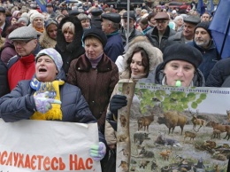 Желающие попротестовать, велкам: в Нацполиции объяснили нюансы участия в митингах