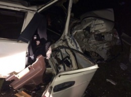 На крымской трассе легковушка врезалась в столб: водитель и два пассажира погибли (ФОТО)