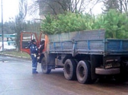 Сезон открыт: в Полтавской области задержали автомобиль, который перевозил хвойные деревья без документов