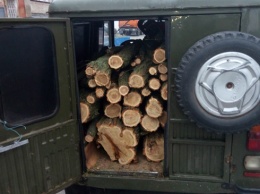 На Днепропетровщине правоохранители задержали несколько машин с незаконными грузами