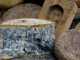 Ученые выяснили, что сыр с плесенью продлевает жизнь