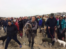 В Британии сотни людей пришли на прощальную прогулку пса Орешка