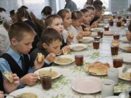 Сколько стоит питание школьников Макеевки