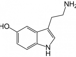Ученые: Серотонин способен привести к импульсивной агрессии