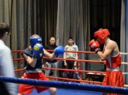 В Доброполье стартовал VI Всеукраинский турнир по боксу