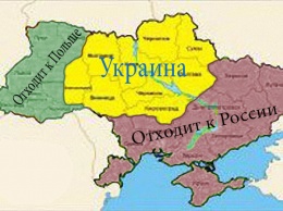 В Киеве боятся, что русские, венгры и поляки заберут "свое", и от Украины мало что останется